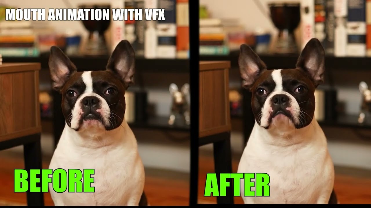 Dog Talking VFX | Mouth Animation VFX By Pixel Media